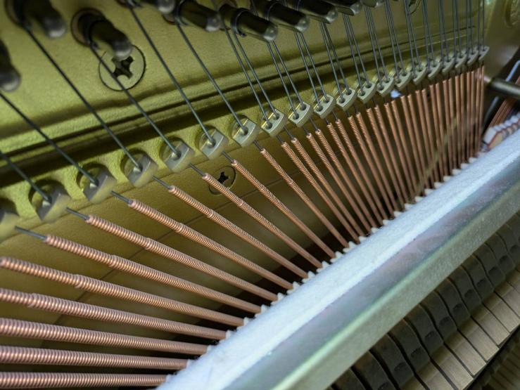 買取実績用 YAMAHA YU5 5798205-2