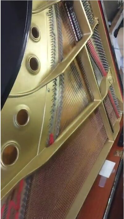 買取実績用 ヤマハ C3 2990244-2