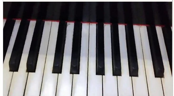 買取実績用 ヤマハ C3 5574565-3