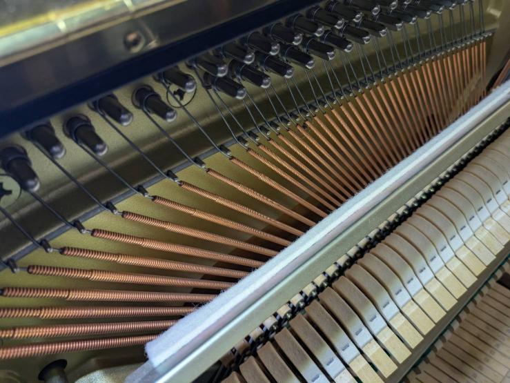 買取実績用 ヤマハ YU1 5600901-2