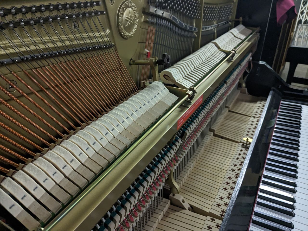 買取実績用 ヤマハ YU3SXGZ 5944898-3