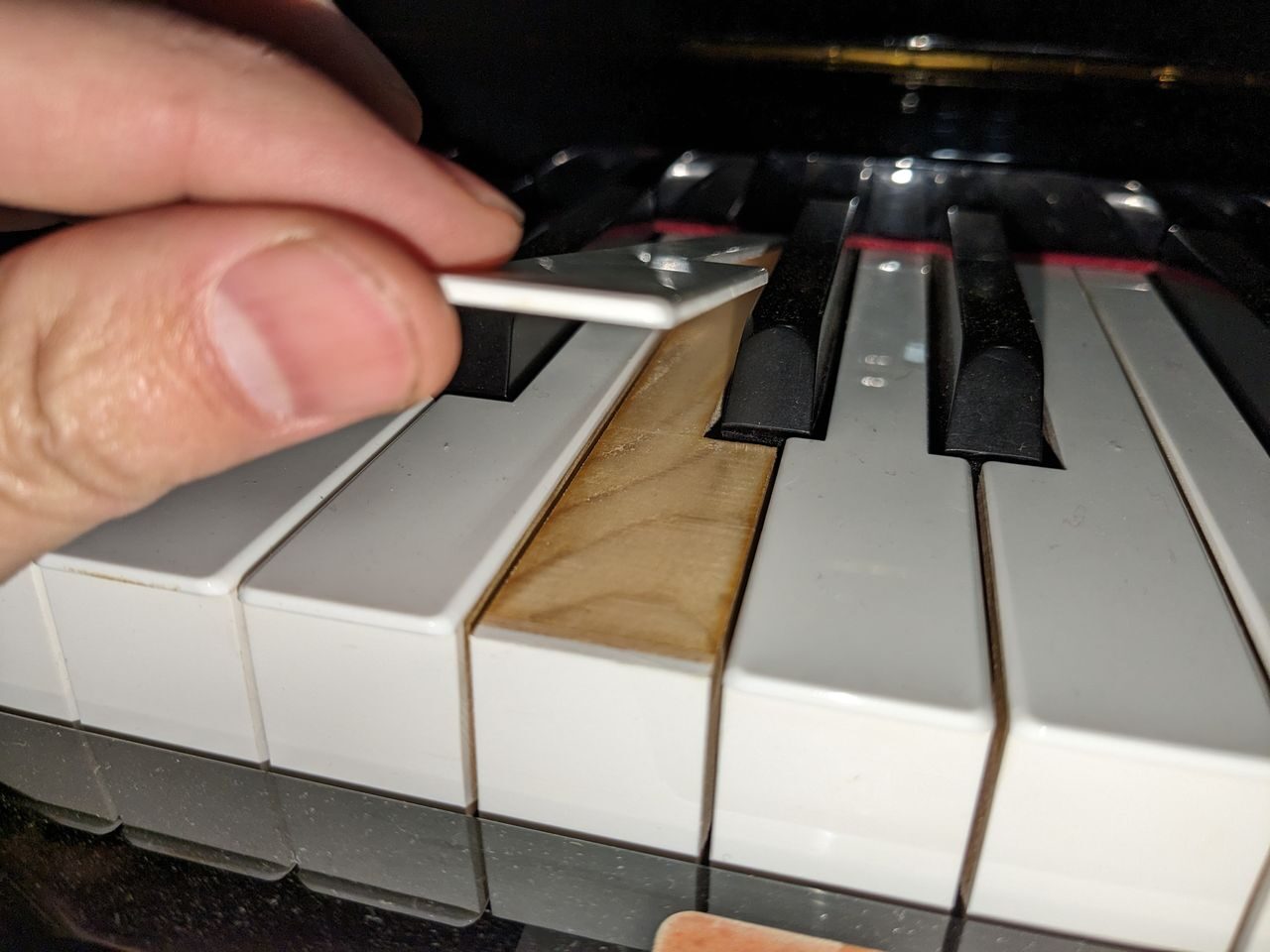 買取実績用 ヤマハ YUS1 6377759-3