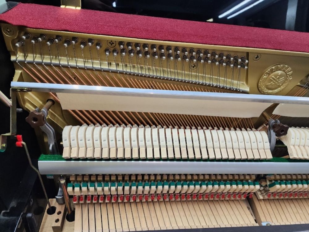 買取実績用ヤマハ　B113-J27184034-2