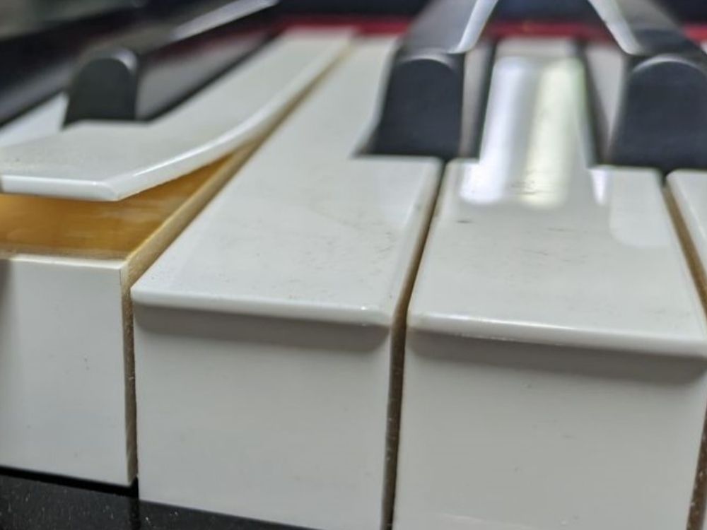 買取実績用ヤマハ　B113-J32314299-3