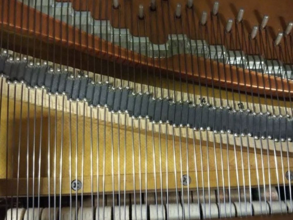 買取実績用ヤマハ　C3-6223726-2