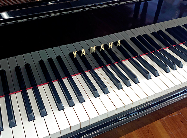 買取実績用ヤマハ C3L 6119166-3