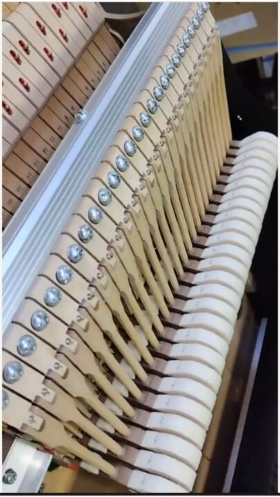 買取実績用ヤマハ C3X 6353155-2