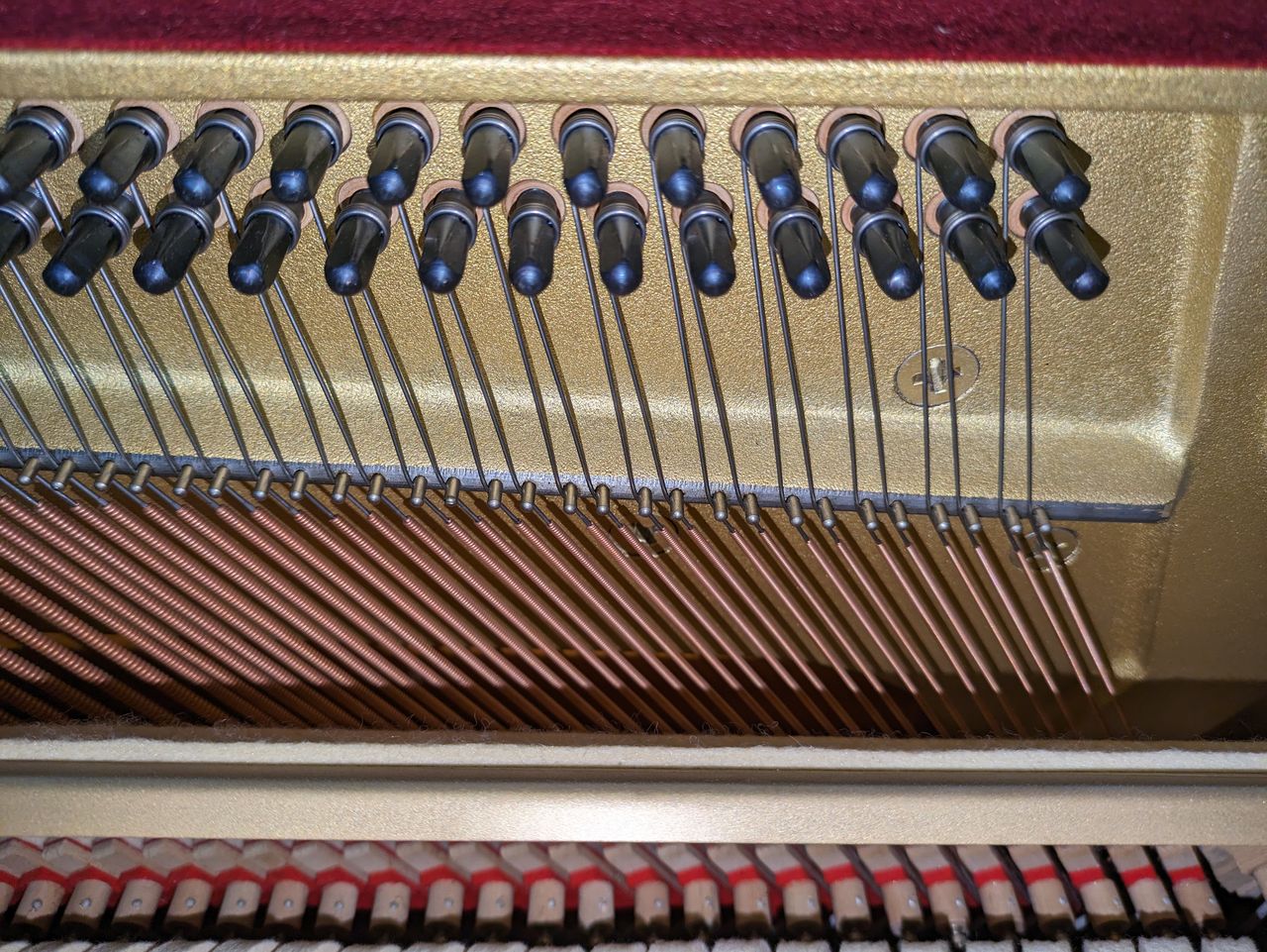 買取実績用ヤマハ SX100RBI 4978447-3