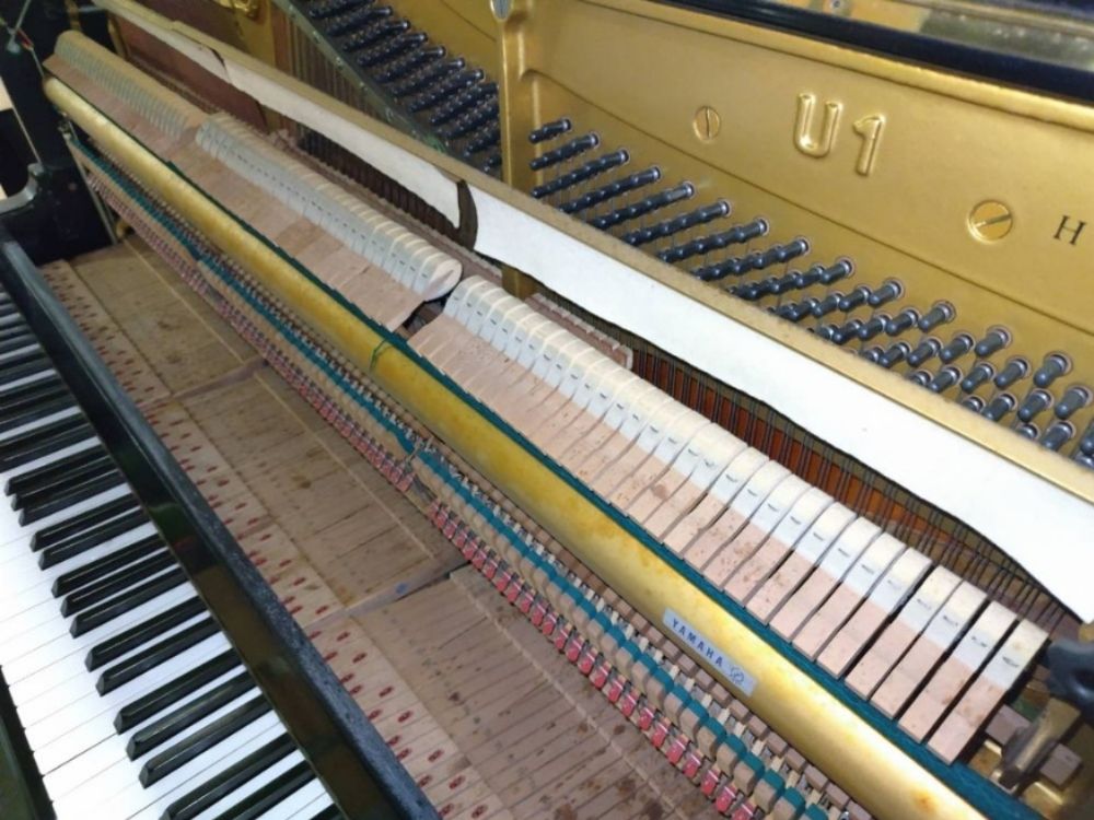 買取実績用ヤマハ　U1H-1567541-2