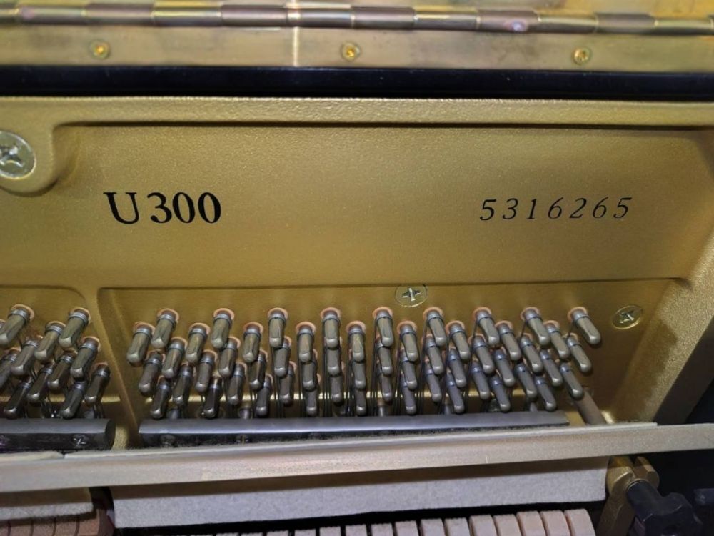 買取実績用ヤマハ　U300-5316265-3