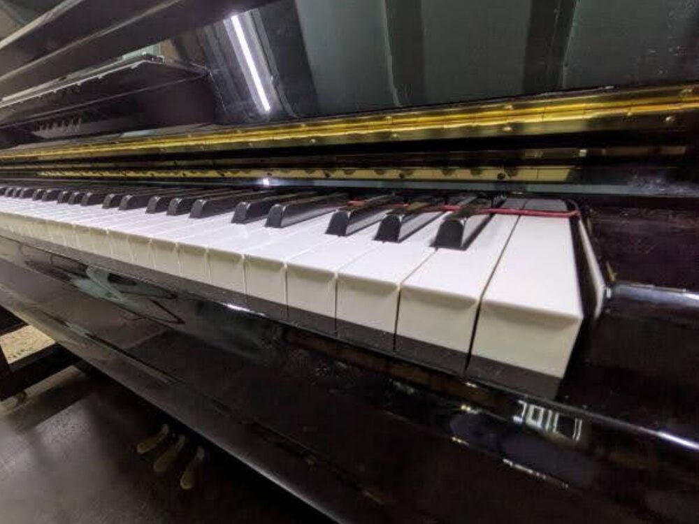 買取実績用ヤマハ YU1SZ 5869098-2