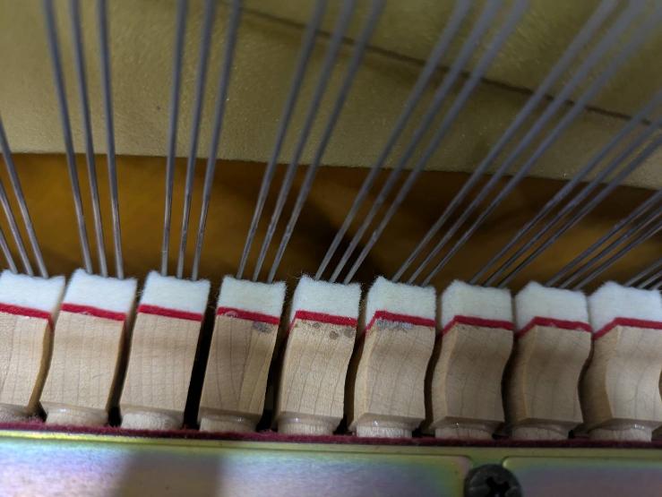 買取実績用ヤマハ YU1SZ 5869098-3