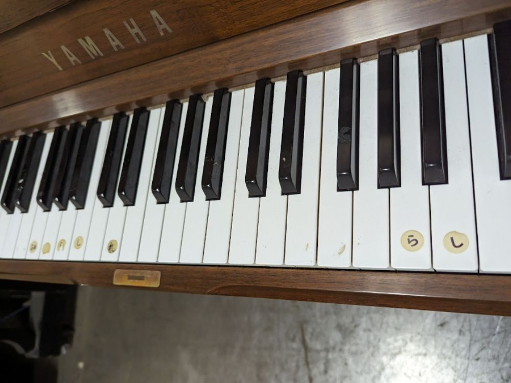 買取実績用ヤマハ YUS1WN B6190928-2