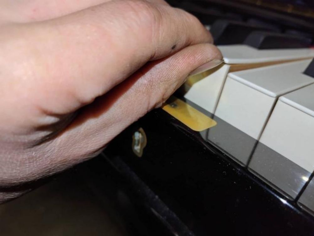 買取実績用ヤマハ YUS5 6374951-2