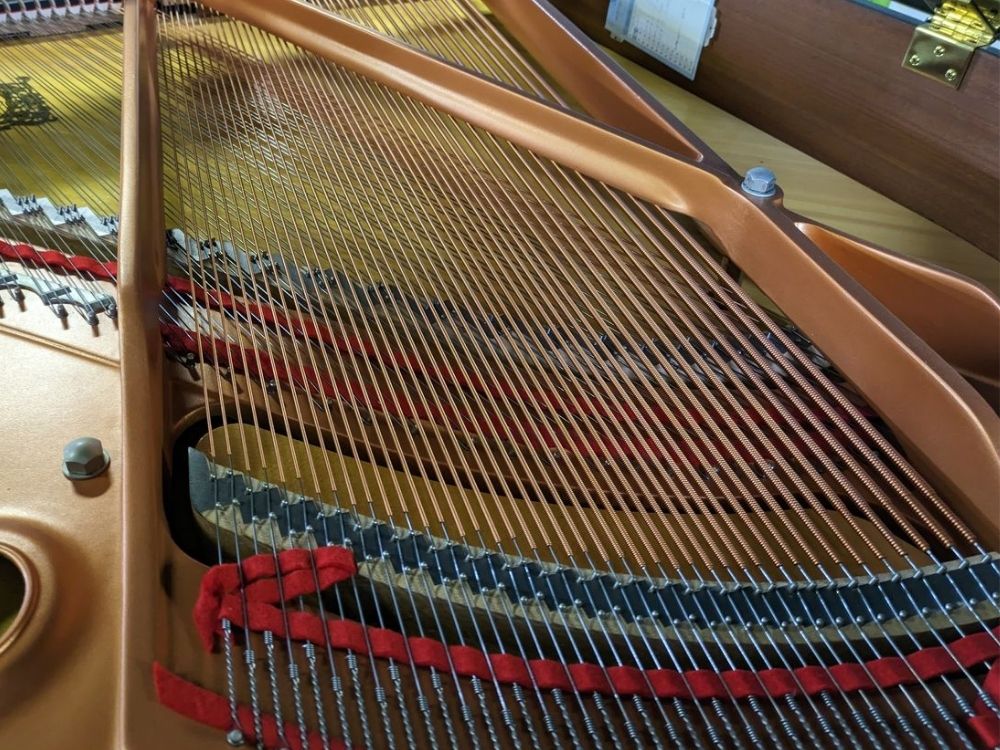 ヤマハGC1SG6309142