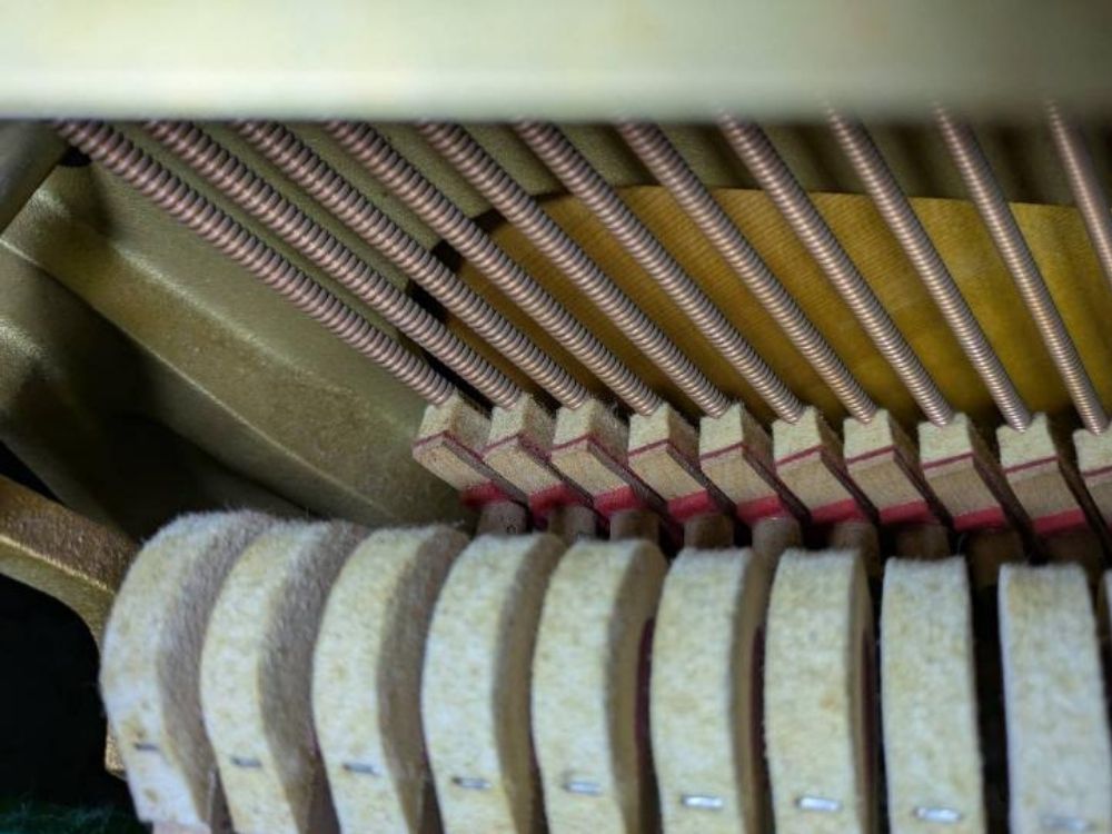 買取実績用　ヤマハ　UX30BL-4602758-2