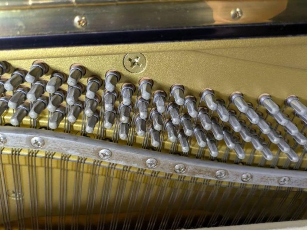 買取実績用　ヤマハ　UX30BL-4763283-3