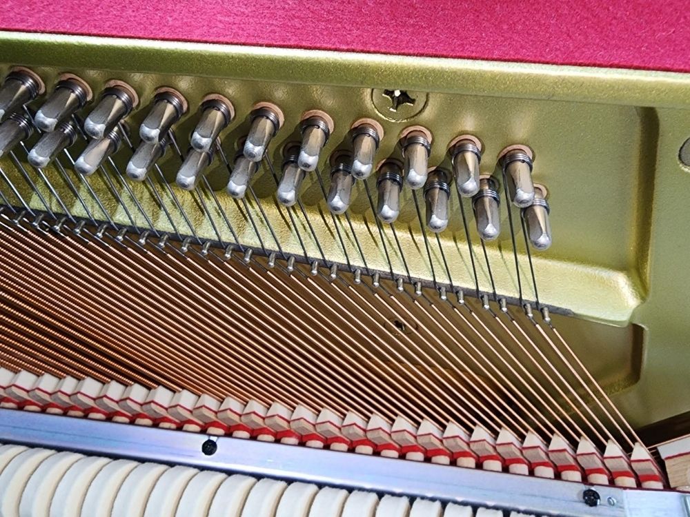 買取実績用　ヤマハ　YM5-5927183-2