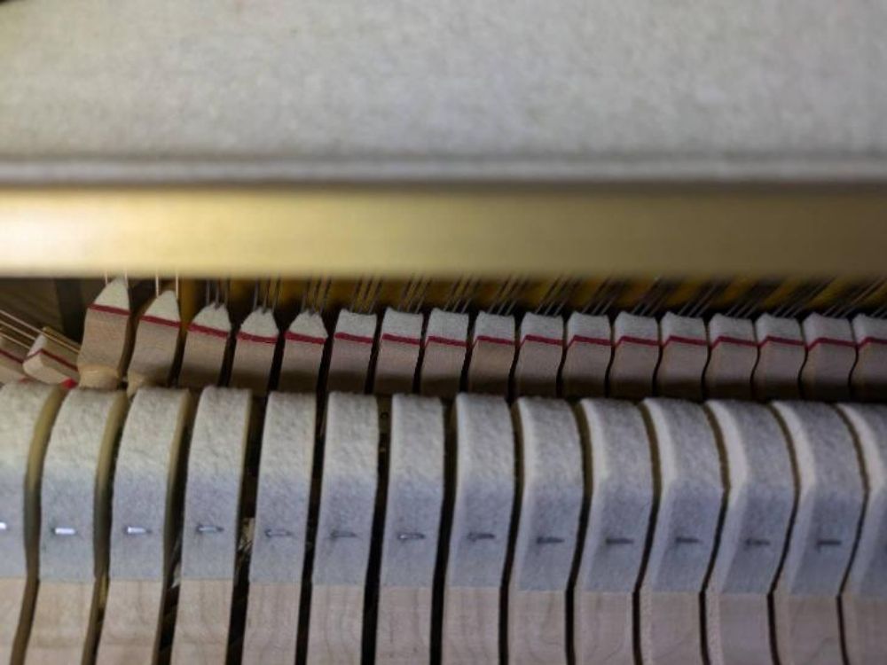 買取実績用　ヤマハ　YUS-3415932-2