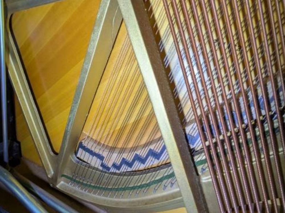 買取実績用　ヤマハ　YUX　3686682-2