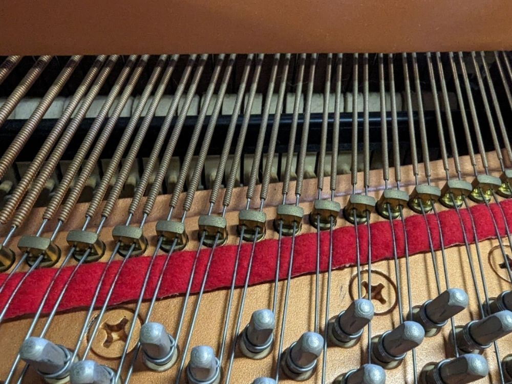 買取実績用ヤマハ　C1-6323339-3