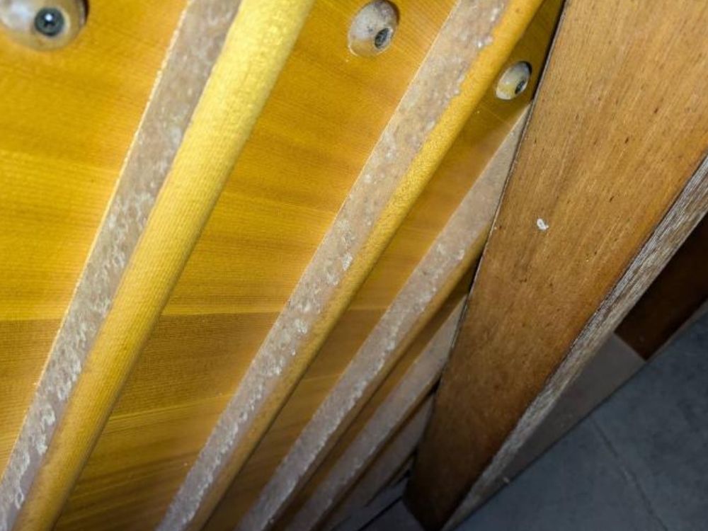 買取実績用ヤマハ　U3M　3358904-2