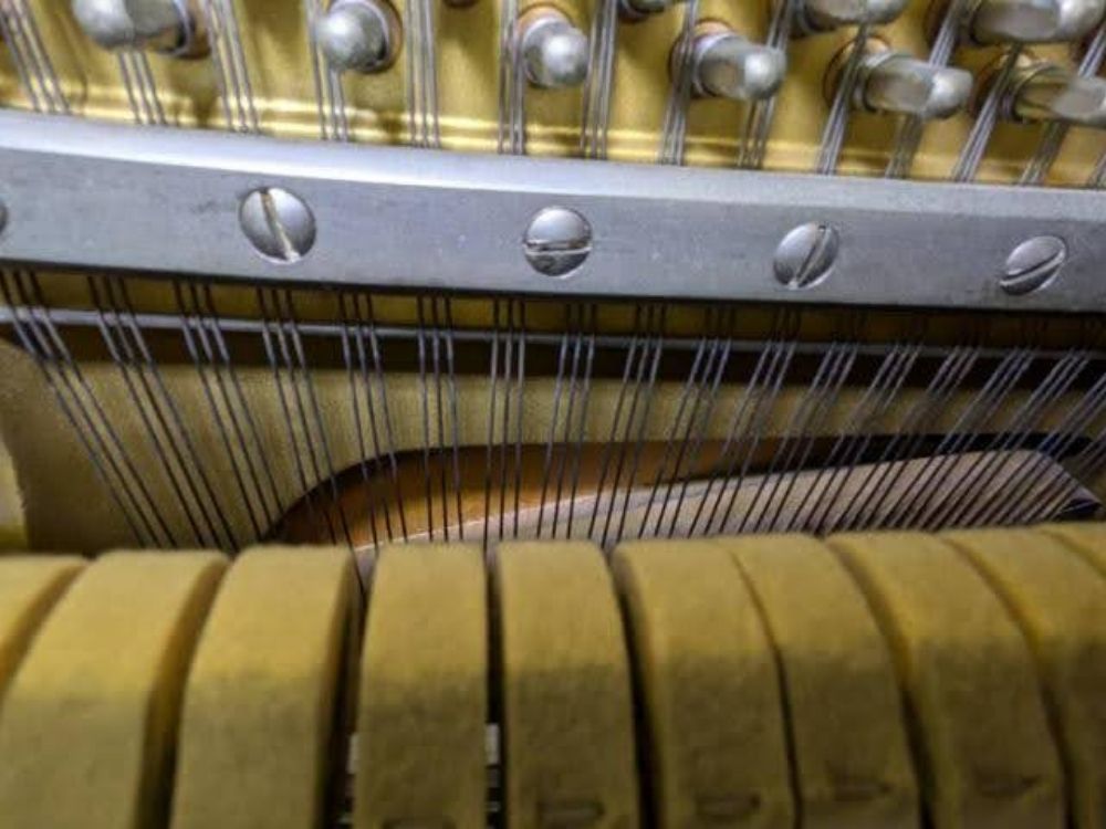 買取実績用ヤマハ　YUA-3113677-2