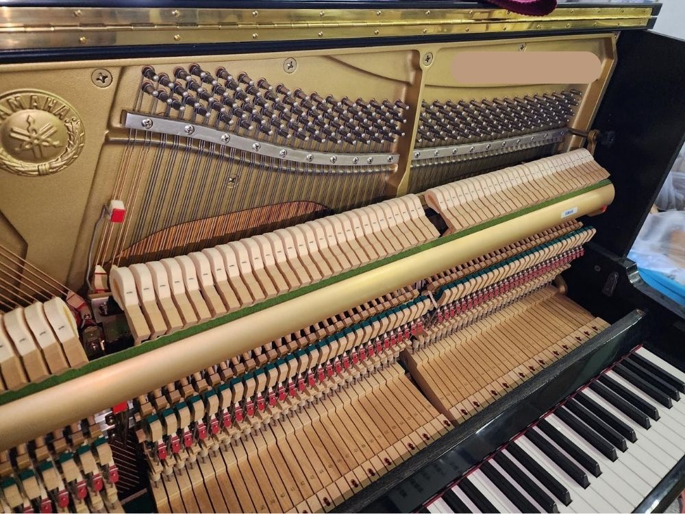 買取実績用　ヤマハ　U100SX-5482420-2