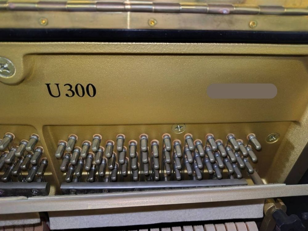 買取実績用　ヤマハ　U300-5316265-3