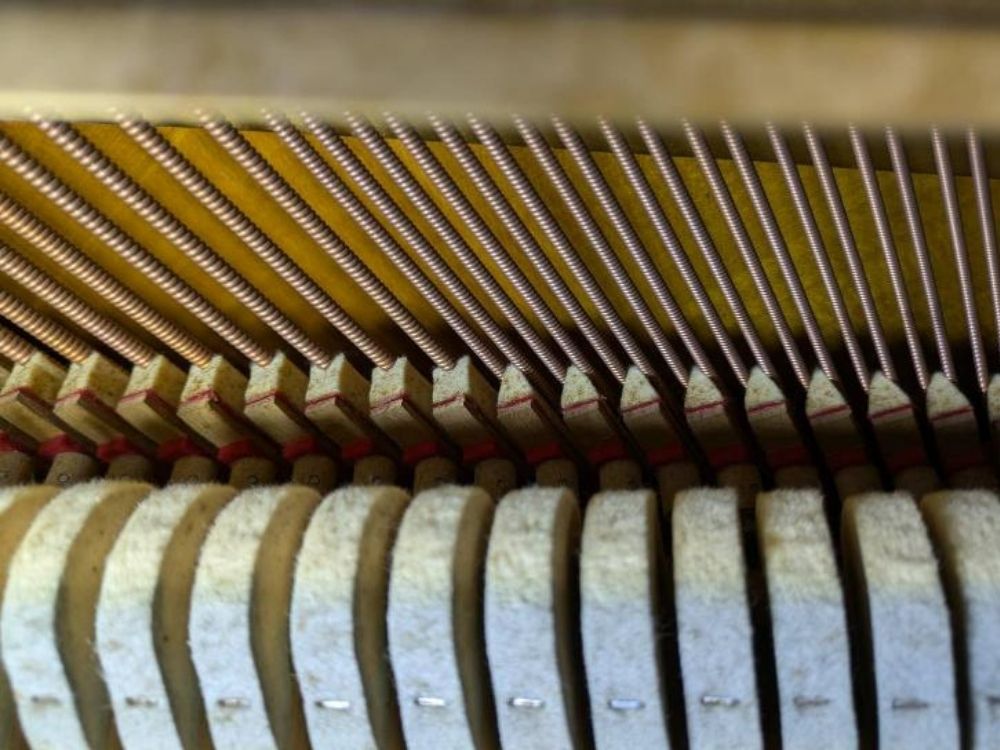 買取実績用　ヤマハ　UX-3071304-3