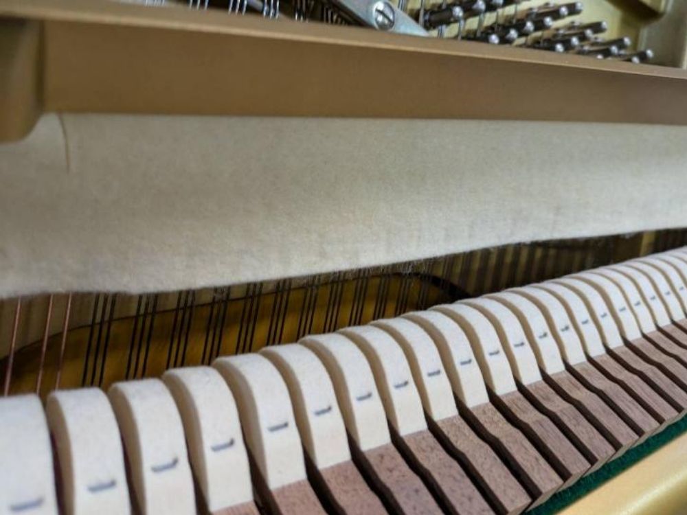 買取実績用　ヤマハ　UX3-3952150-2