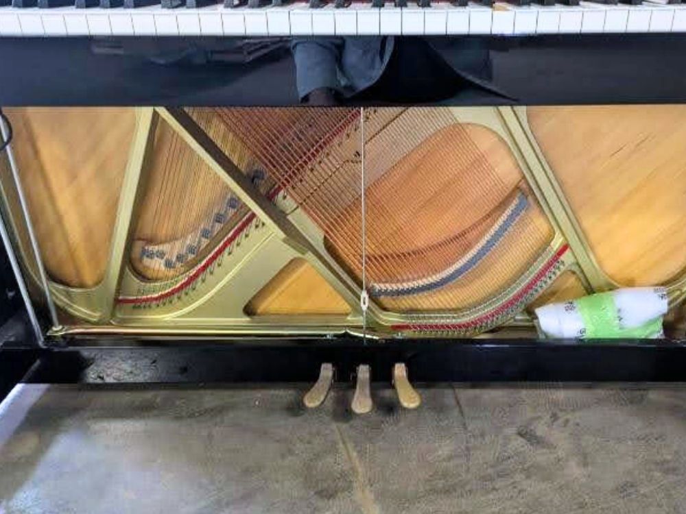 買取実績用 ヤマハYM5SD　6270652-2