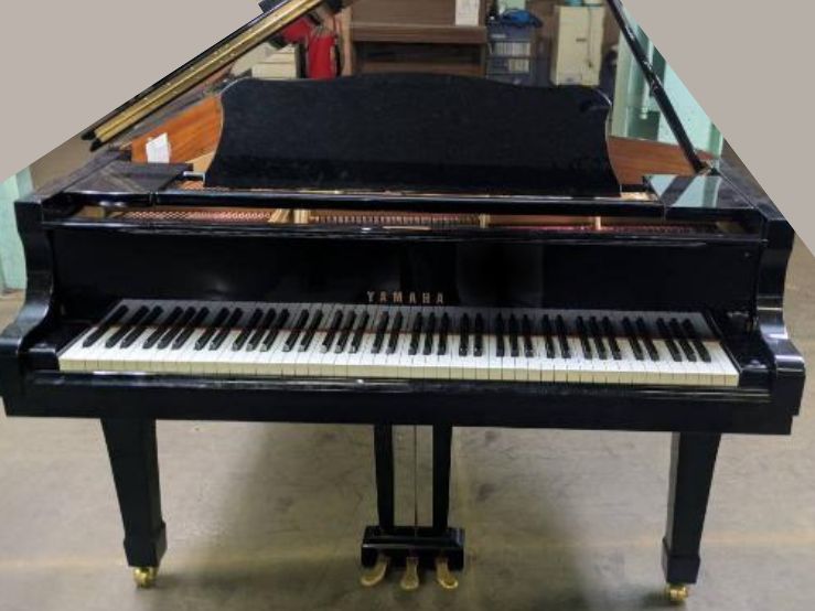 買取実績用　YAMAHA C3E 5241504