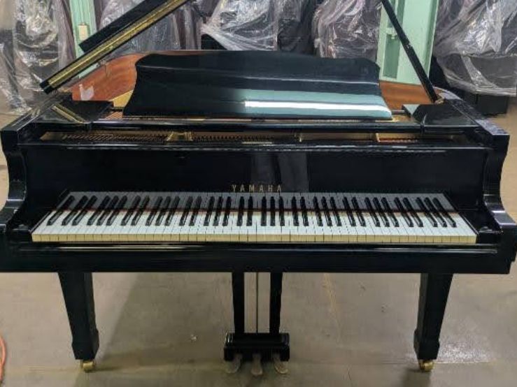 買取実績用　YAMAHA G1E 5070209