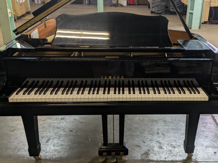 買取実績用　YAMAHA G1E 5090858