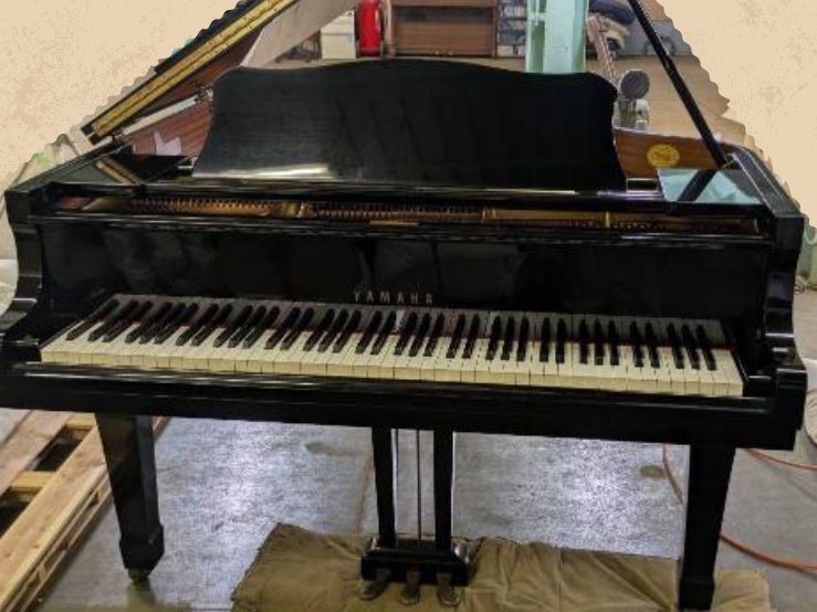 買取実績用　YAMAHA G2A 4218619
