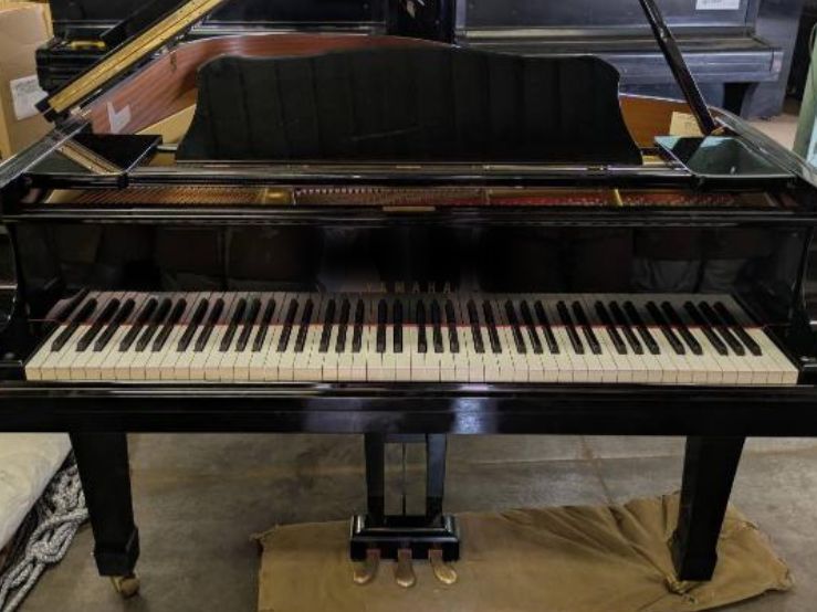 買取実績用　YAMAHA G3B 4900203