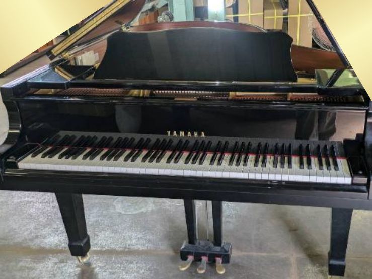 買取実績用　YAMAHA G3E 5081334
