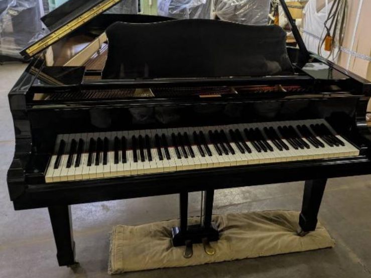 買取実績用　YAMAHA G5E 3470092