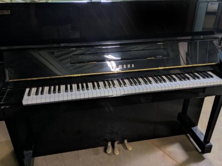 買取実績用　YAMAHA YM10S 5859022