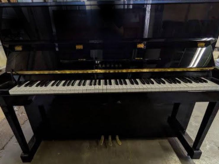 買取実績用　YAMAHA YM5 6301354