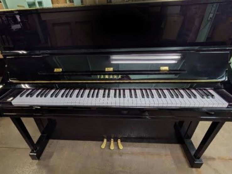 買取実績用　YAMAHA YU11 6443836
