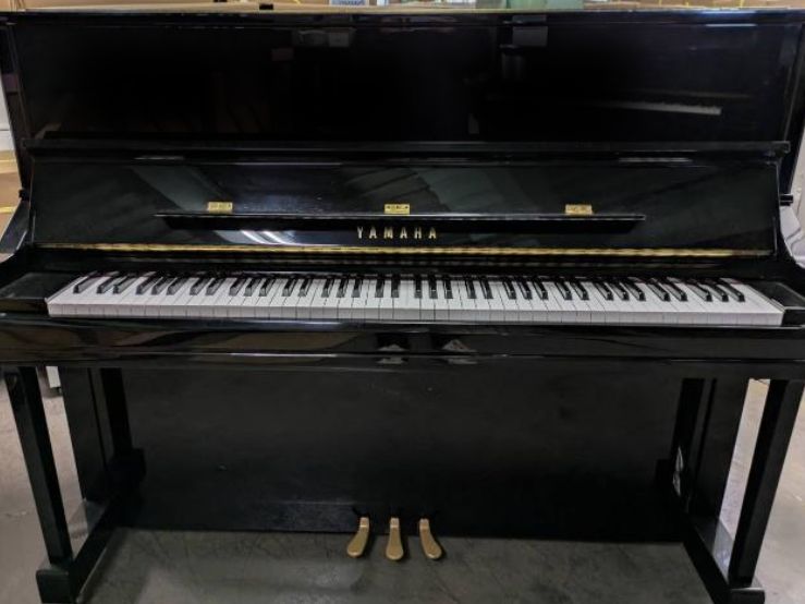 買取実績用　YAMAHA YU11 6492298