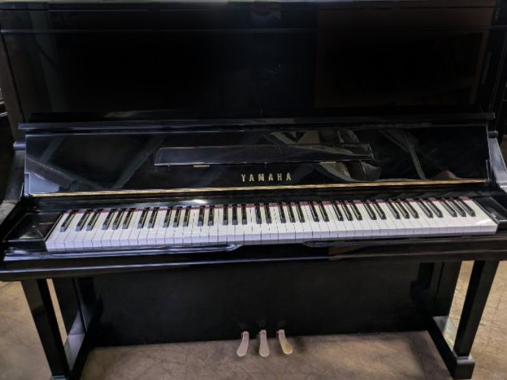 買取実績用　YAMAHA YU3 5933537