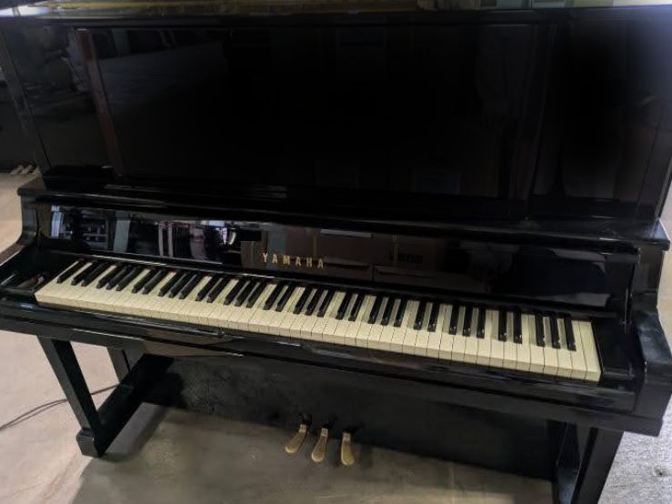 買取実績用　YAMAHA YU50 5965263