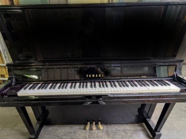 買取実績用　YAMAHA YU50 6128352
