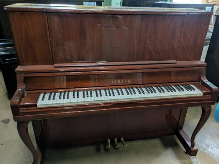 買取実績用　YAMAHA YU50MHC 6028318