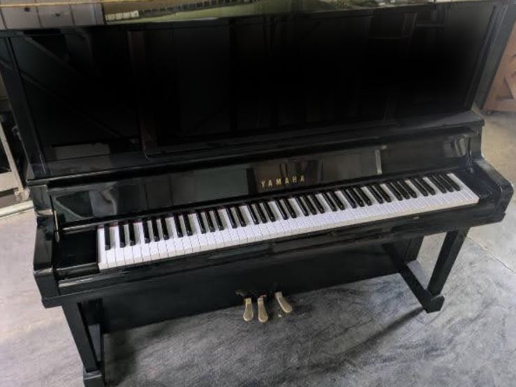 買取実績用　YAMAHA YU5SXG 5800570