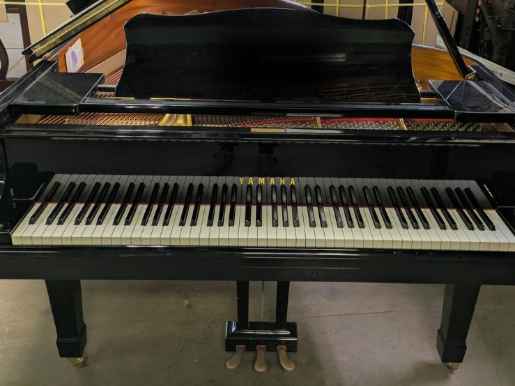買取実績用　YAMAHA C3E 5231328