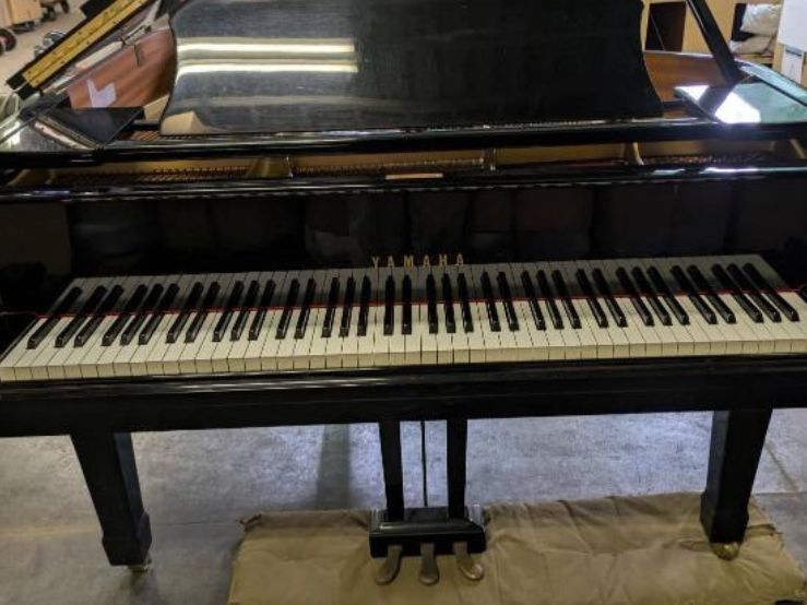 買取実績用　YAMAHA G1E 5061850
